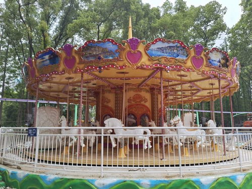 馬鞍山雙園迎客 兩大游樂園預計6月中旬開放，票務代理服務同步啟動